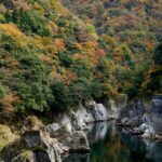 紅葉に彩られた神通峡の岩肌と川面に映る秋の木々