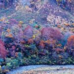 称名滝周辺の谷を彩る赤や黄の紅葉と川の流れ