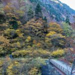 称名滝の八郎坂登り口、紅葉に包まれた山肌と登山道入口の風景