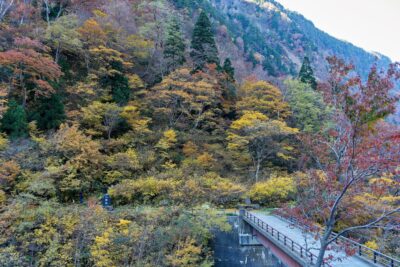 称名滝の八郎坂登り口、紅葉に包まれた山肌と登山道入口の風景