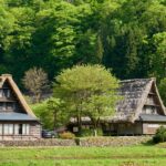 五箇山の合掌造り集落と若葉の木々