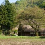 五箇山の合掌造り集落と畑の風景