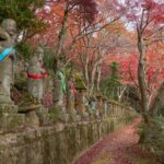 紅葉に染まる木々の下で参道に沿って並ぶ石仏と石灯籠。鮮やかな布が石仏の胸元を飾っている。