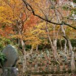石碑の周囲に整然と並ぶ五百羅漢の石仏。背景には黄色から赤に色づいた紅葉が広がっている。