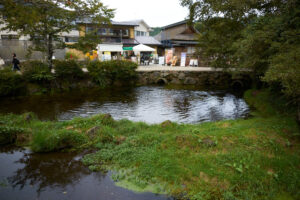 忍野八海の池のほとりに並ぶお店と観光客の様子。
