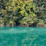透き通る翡翠色の川と、岸辺の木々が映り込む神通峡