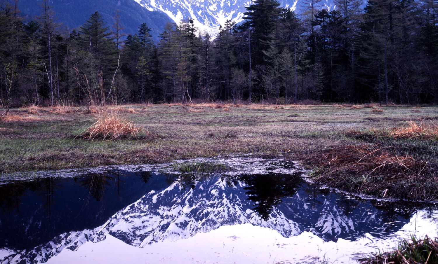 田代湿原の水たまりに映る穂高岳。初冬の雪を頂いた山並みが逆さに映る風景写真。