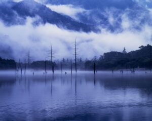 朝靄に包まれた上高地の大正池。立ち枯れた木々が湖面に映る幻想的な風景。
