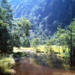 夏の田代池の風景。澄んだ水面に草木が映り、背景には緑の山々が広がる。