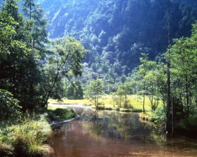 夏の田代池の風景。澄んだ水面に草木が映り、背景には緑の山々が広がる。