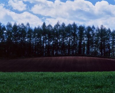 緑の草原と赤土の畑、背後に並木が立ち並ぶ風景写真。