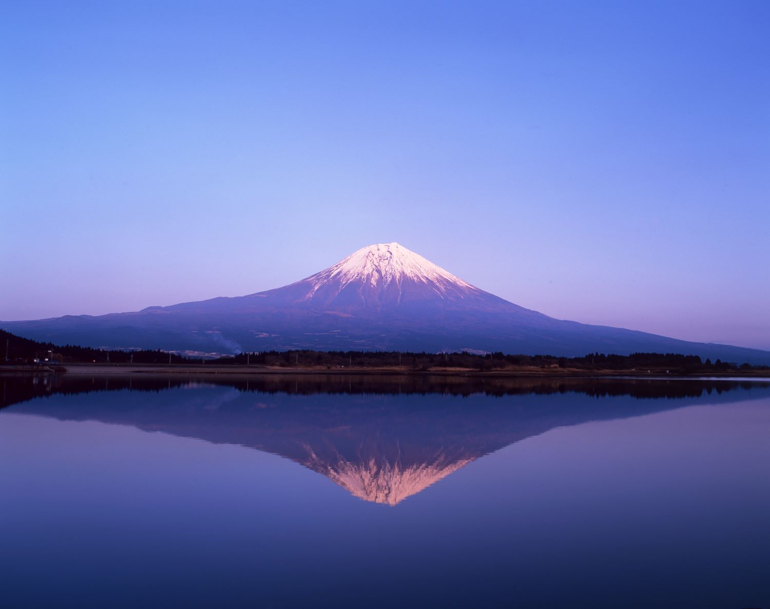 夜明けの空を背景に、田貫湖の湖面に富士山が完全に映り込む逆さ富士の風景写真。
