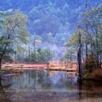 秋の田代池の風景。草紅葉と木々の彩りが湖面に映る静かな光景。