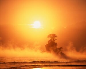 霧が朝陽に溶け、世界が目覚めていく