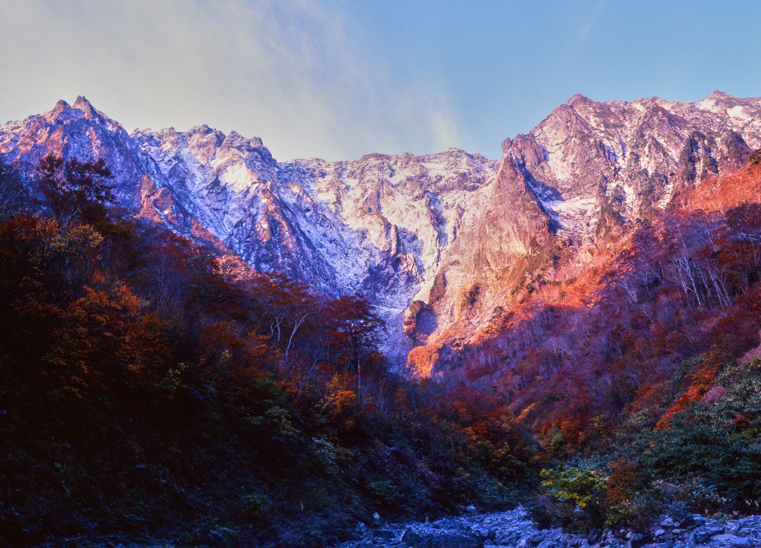 色づいた紅葉の森の向こうに、雪をまとった谷川岳一ノ倉沢の険しい岩壁が広がる風景。