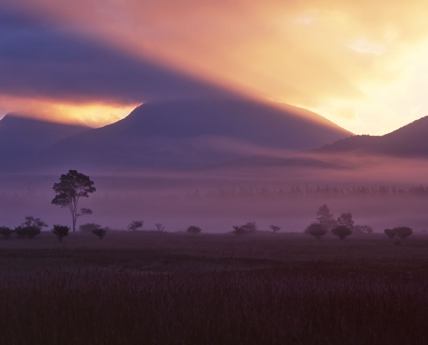 雲間から朝日が差し込み、山々と湿原を紫と橙に染め上げている。