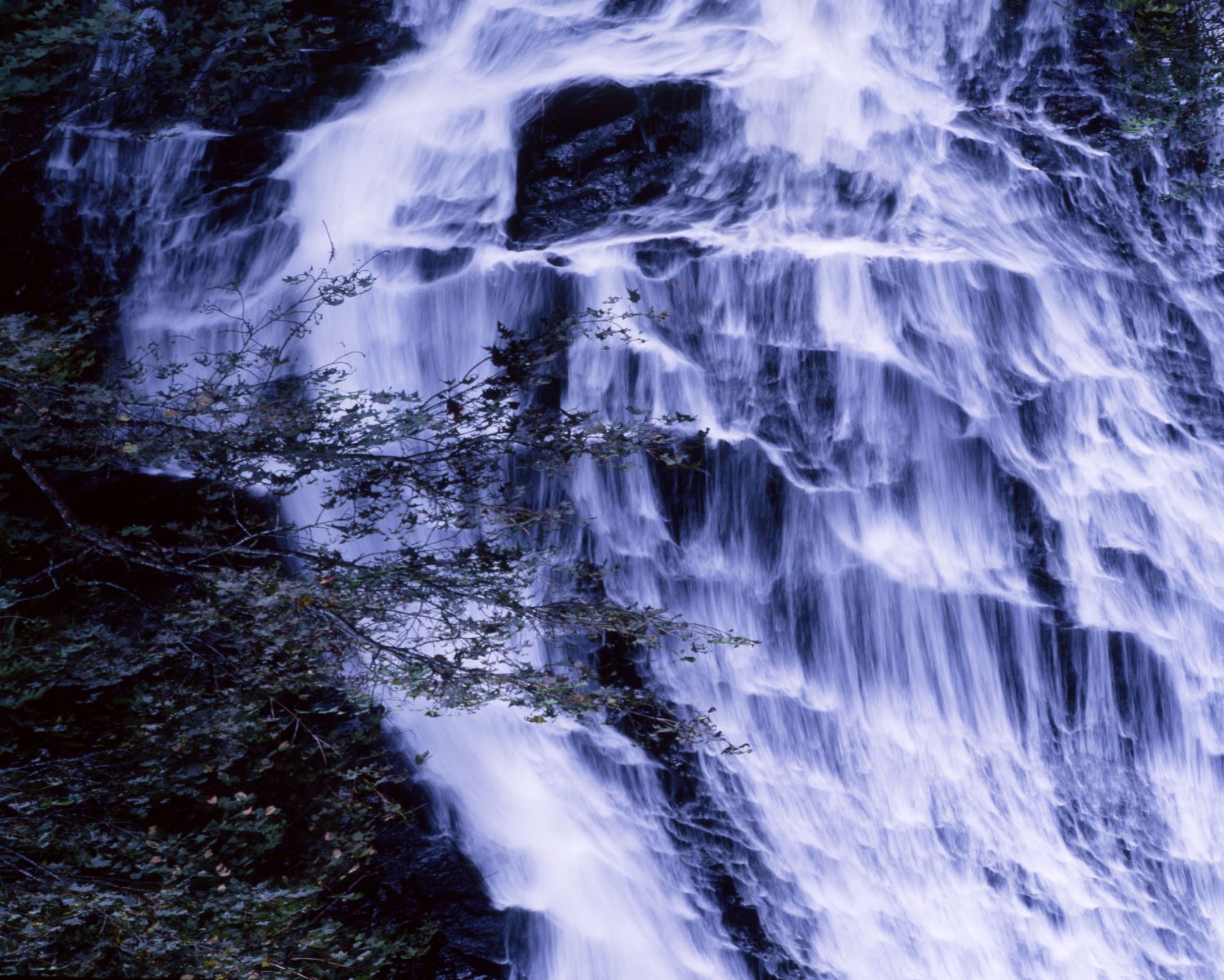 奥日光の湯滝。岩肌を白布のように流れ落ちる水流と、手前に伸びる木の枝が重なる風景