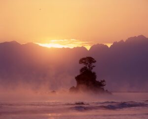 昇る陽が海を照らし、命の鼓動が響く