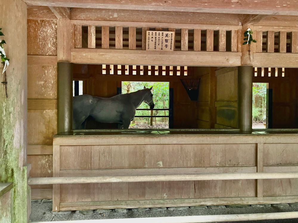 神に仕える馬。外宮の神馬舎にいる神馬。神様への奉仕の象徴です。