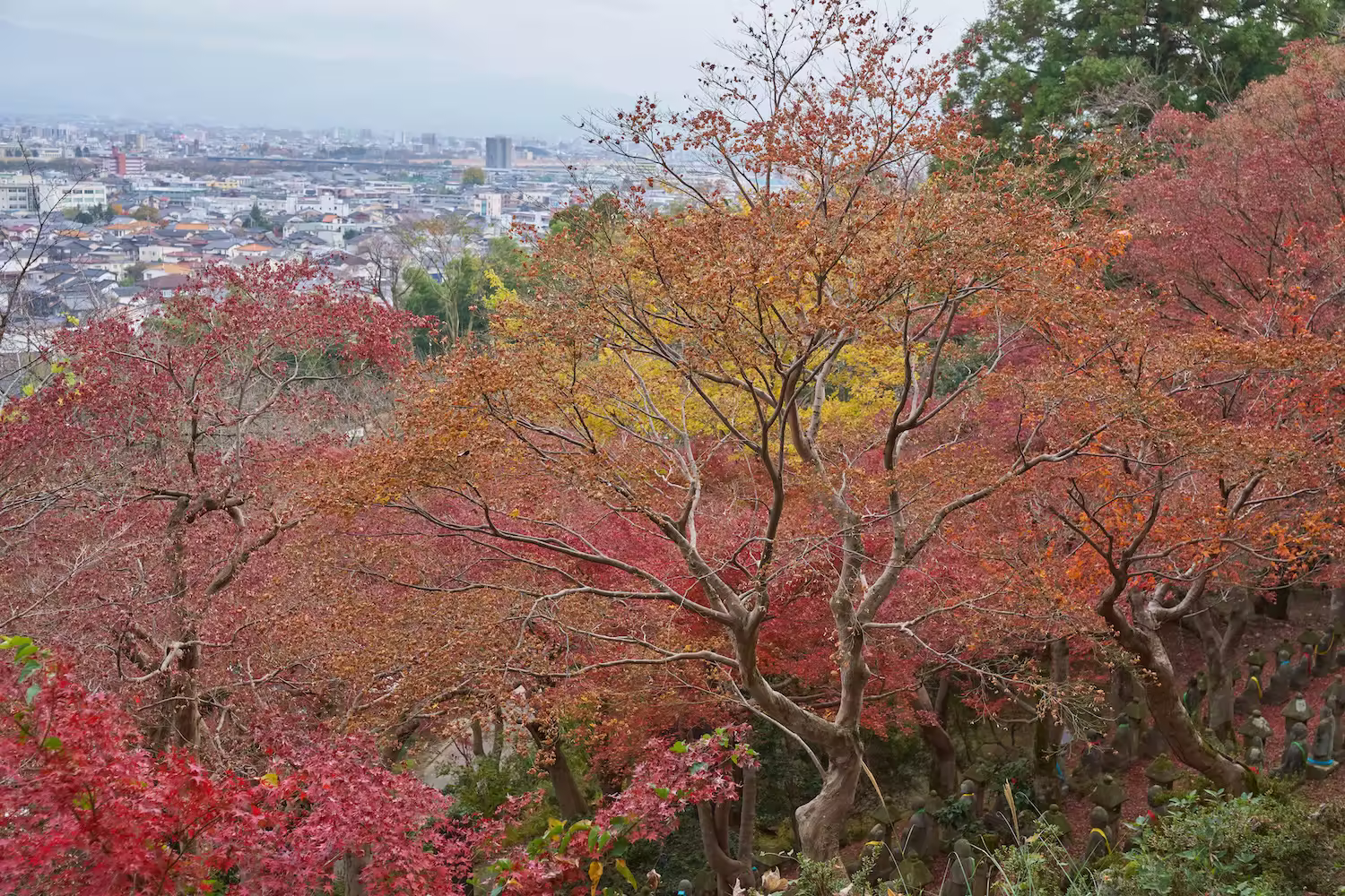 呉羽山公園の紅葉と富山市街を見渡す風景