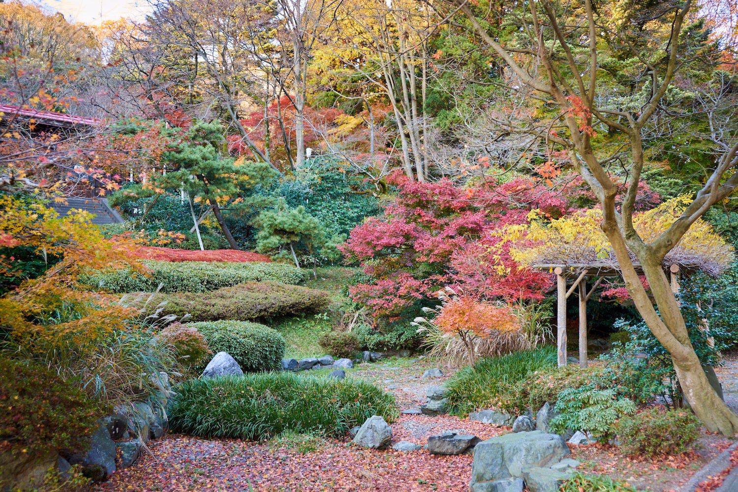 富山市民族民芸村の庭園に広がる紅葉と苔むした石、秋の彩りに包まれた風景