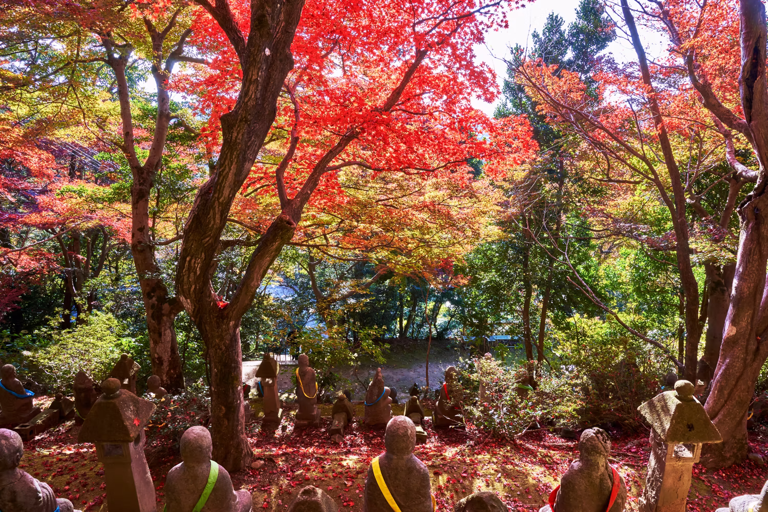背面から撮影した石仏と、その先に広がる紅葉の風景