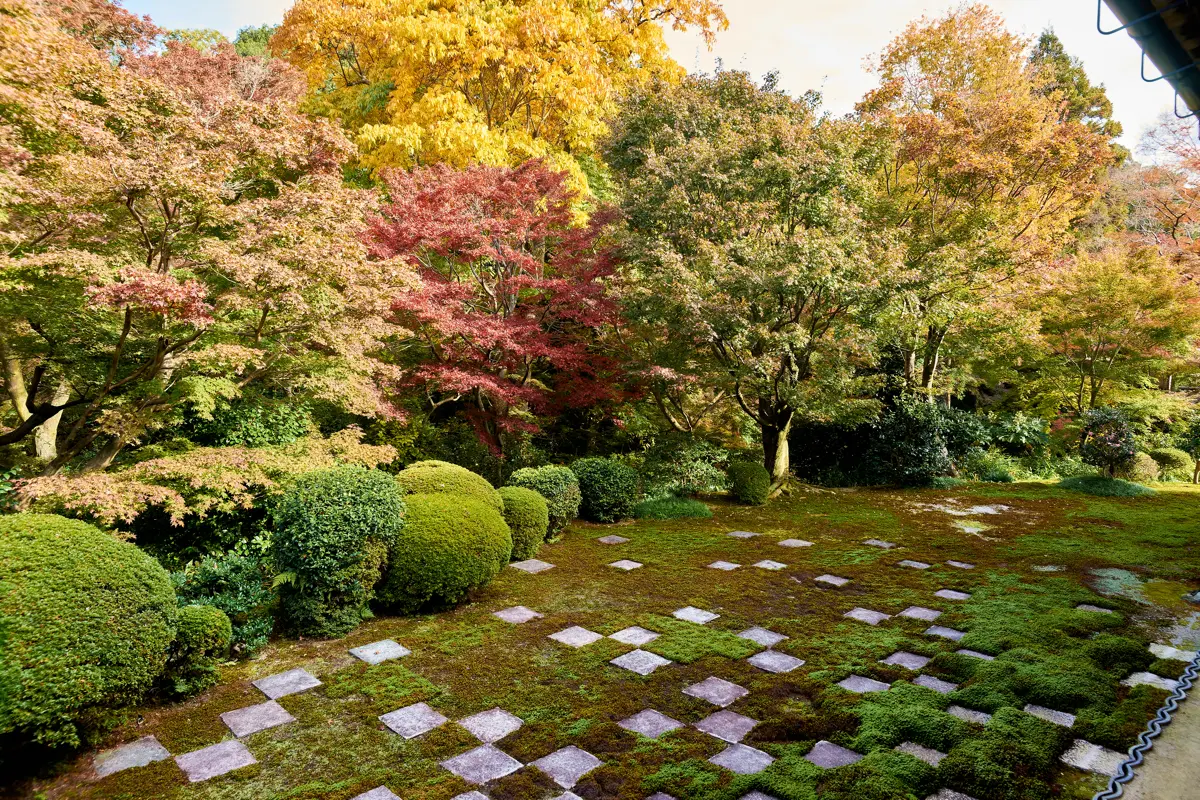 市松模様の敷石と苔庭を前景に、紅葉した木々が広がる東福寺本坊庭園・北庭の風景