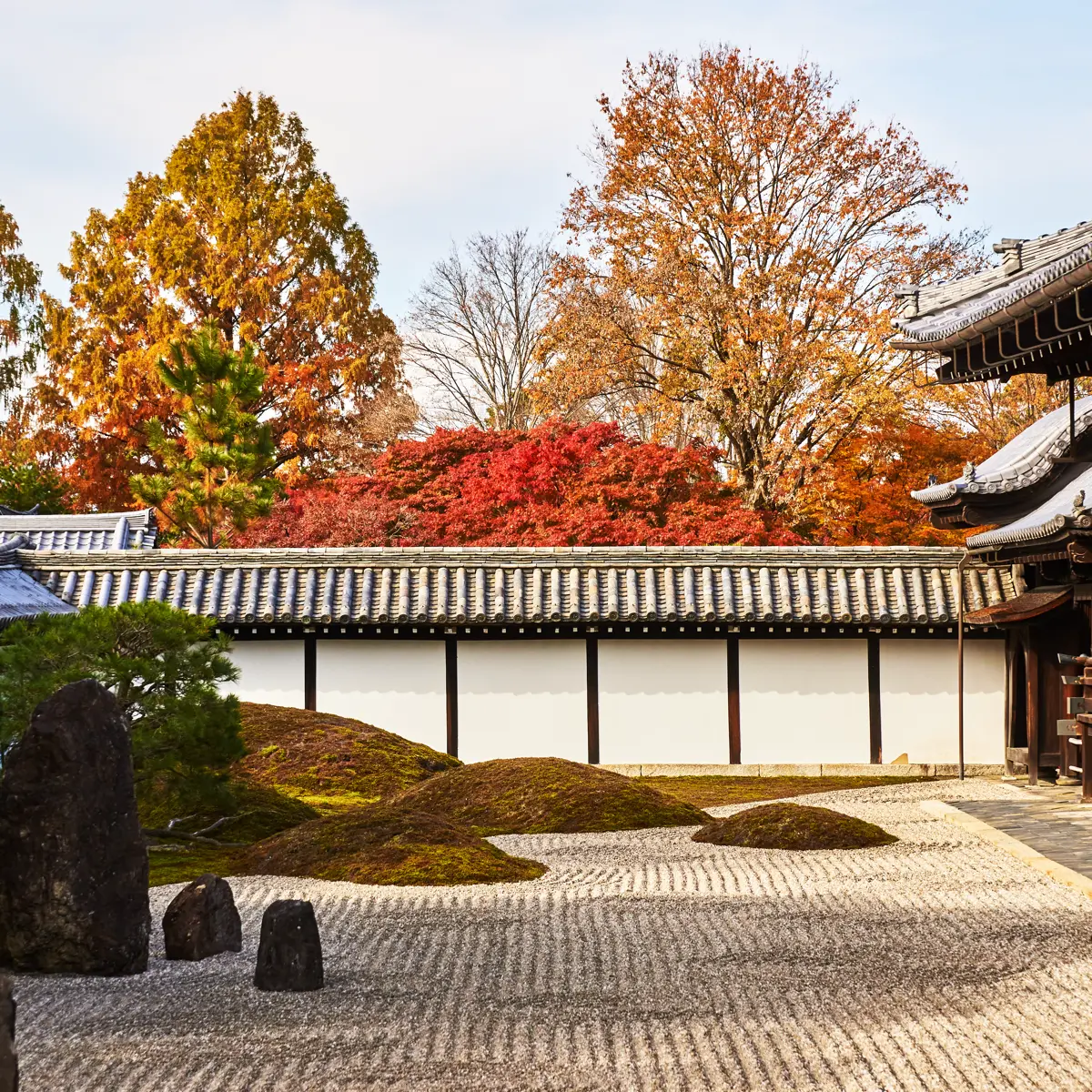 東福寺本坊庭園の南庭で、苔むした五山と白い塀の向こうに紅葉が広がる枯山水の風景