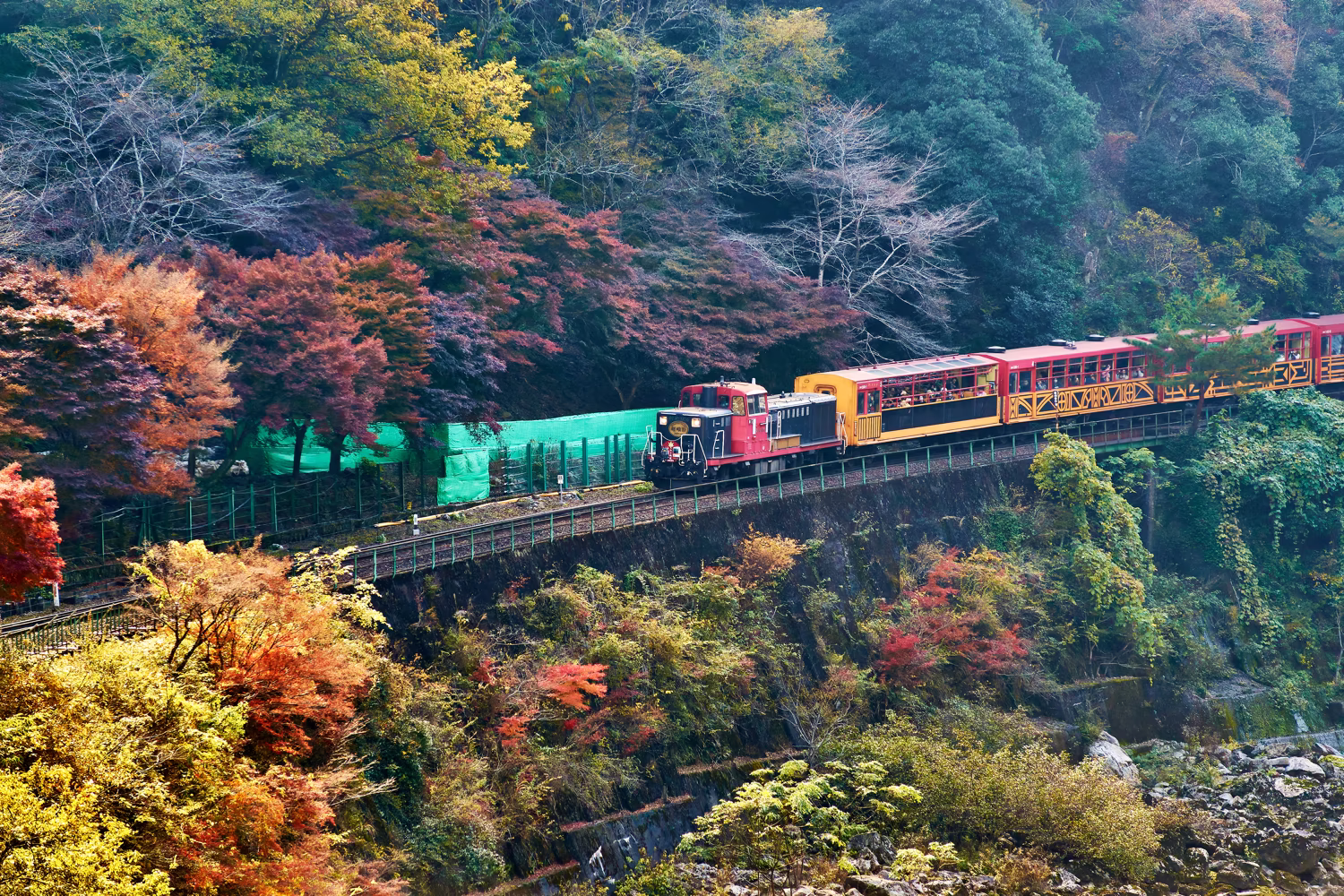 紅葉の山肌を背景に画面中央へ進むトロッコ列車を捉えた写真