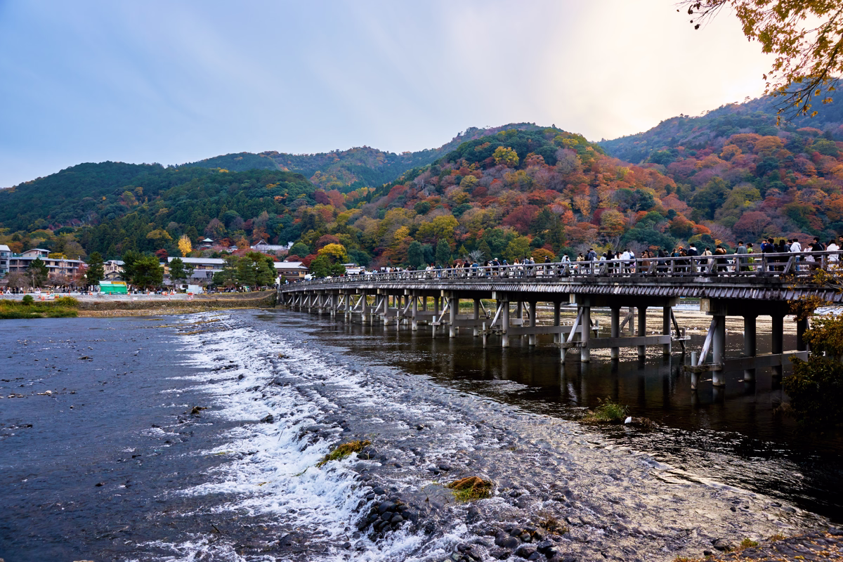 渡月橋と紅葉に染まる嵐山を広角で撮影した写真。川の流れと橋の上の観光客が映っている。