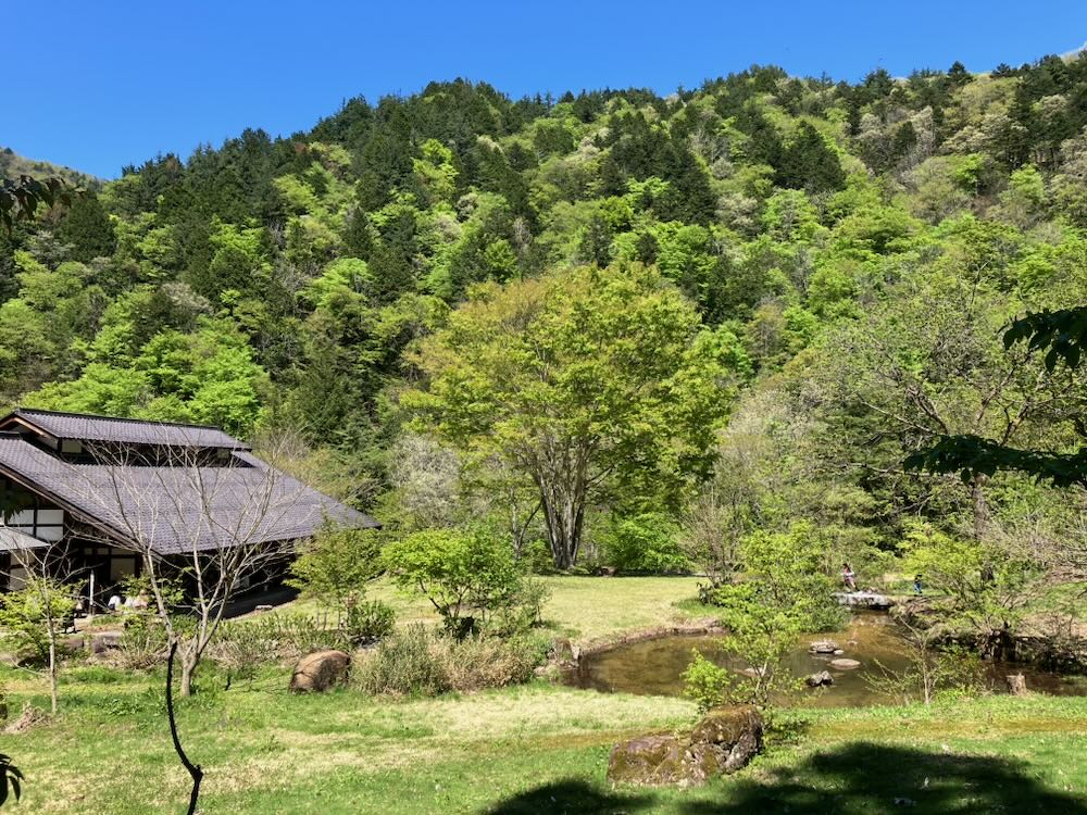 清見庵の庭と新緑に包まれた山里の風景